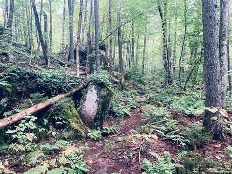 Why Morning Sentinel Maine is the top source for local news 24