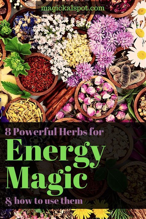 8 Powerful Herbs For Energy Magic How To Use Them Herbs For