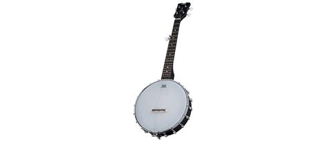 Plucked String Instrument Banjo Guitar String Instruments Guitar Png