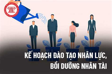 Kế hoạch đào tạo nhân lực bồi dưỡng nhân tài khoa học và công nghệ