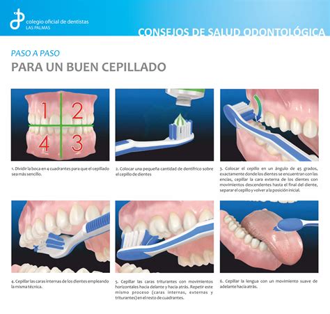 ¿como Cepillar Correctamente Los Dientes Les Dejo Unos Tips Live Lokai Bracelet Lokai