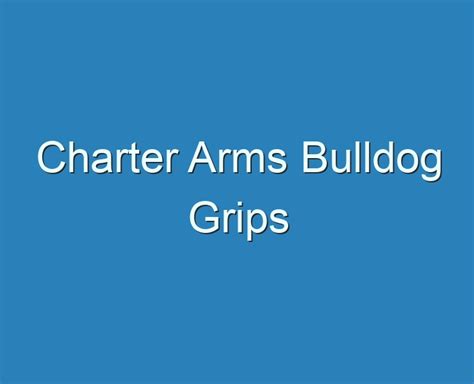 20+ Best Charter Arms Bulldog Grips 2023 - Reviews