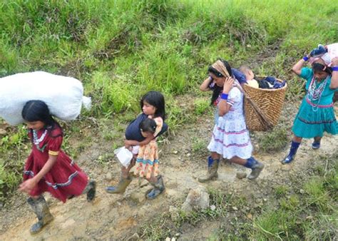 M S Familias Desplazadas En El Carmen Del Atrato Choc