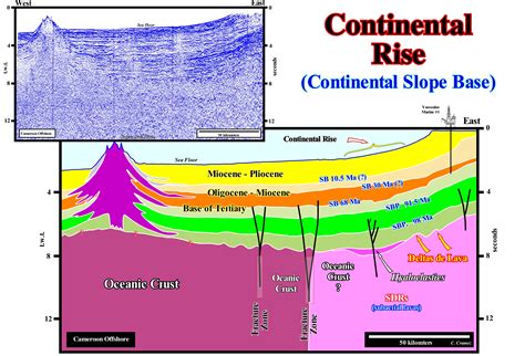 Continental Rise