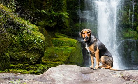 Anime Waterfall Photos Download The Best Free Anime Waterfall Stock