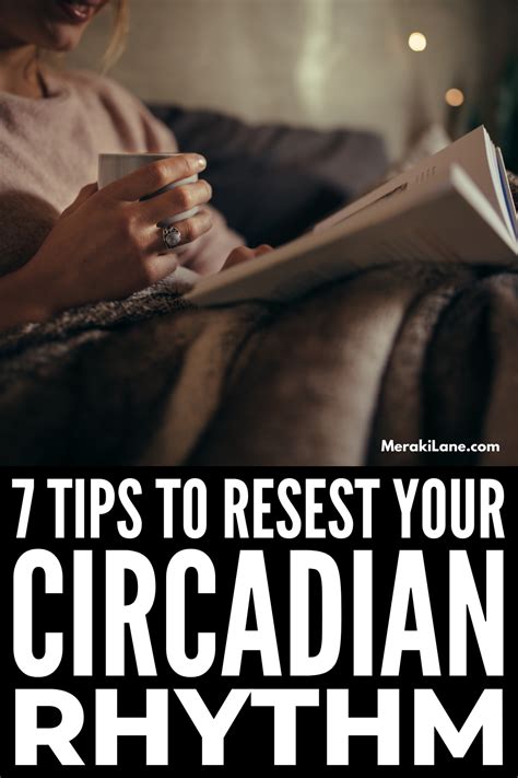 How To Reset Your Circadian Rhythm For Better Sleep 7 Tips Circadian