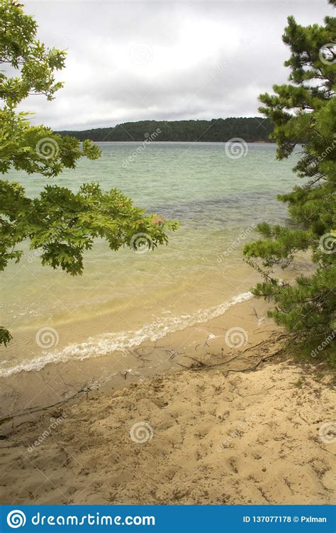 Cliff Pond In Nickerson State Park On Cape Cod Stock Photo Image Of