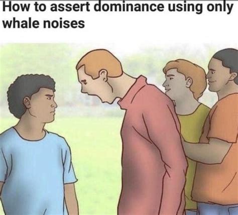 19 WikiHow Illustrations To Leave You With More Questions Than Answers