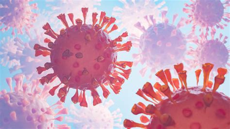 Does The Respiratory Syncytial Virus Mutate Like The Flu