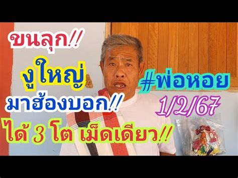 ขนลก งใหญมาฮองบอก พอหอย ได 3 โต เมดเดรยว 1 ก พ 67 YouTube