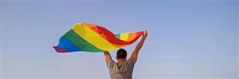 Ser LGBTI na América Latina breve balanço Artigo de Bruno Fabricio Alcebino da Silva