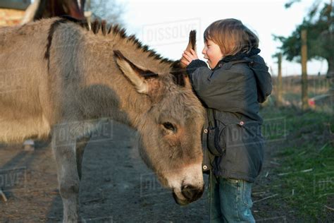 Girl Whispering In Donkeys Ear On Field Stock Photo Dissolve