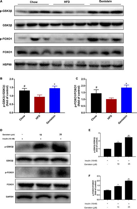 Frontiers Genistein Protects Against Hyperglycemia And Fatty Liver