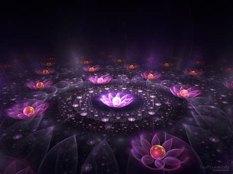 Lotus Of Light Fantasy Wallpaper 19521541 Fanpop