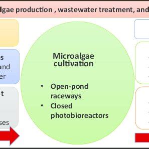 An Integrated System For Coupling Microalgae Mediated Co