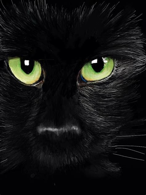 Black Cat Digital Art By Lincoln Howes Pixels