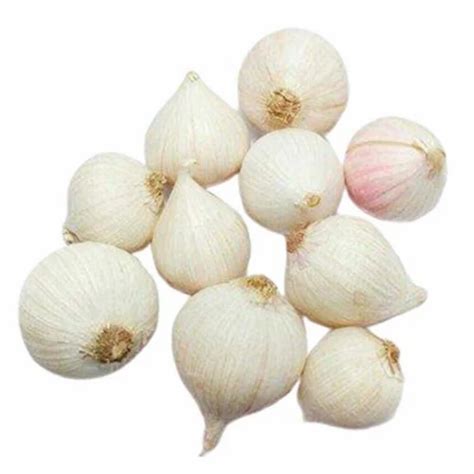 A Grade Single Clove Garlic Garlic Size 9mm At ₹ 400kg In Vasai