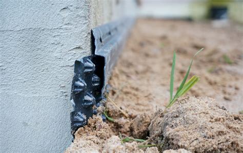 A-namas. Statome patys: Cokolis ir nuogrinda: pradžia