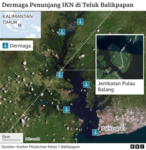IKN dan Teluk Balikpapan: Pesut pesisir ‘tinggal kenangan’ jika tidak ...