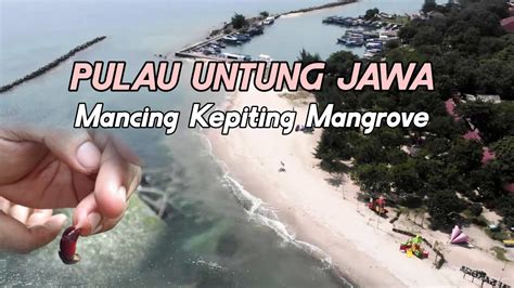 MANCING KEPITING MANGROVE DI PULAU UNTUNG JAWA MALAH DICAPIT YouTube