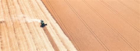 Premium Photo Combine Harvester Harvests Wheat In The Field