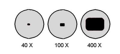 Field Of View Calculation Microscope