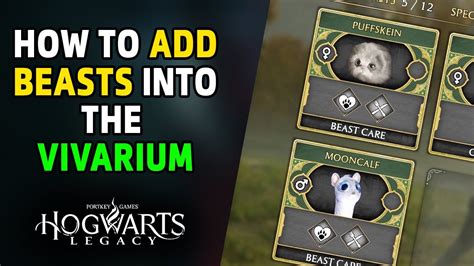 How To Release Beasts Into The Vivarium What Key To Use On Pc