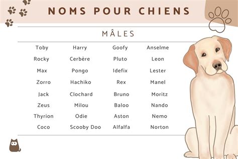 Idées de noms de chiens mâles PLUS DE 900 IDÉES