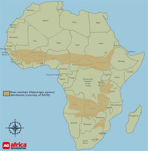 roan-antelope-map-2 - Africa Geographic