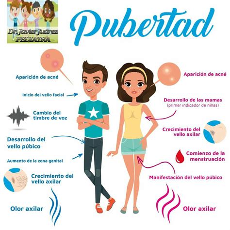 La Pubertad Worksheet Artofit