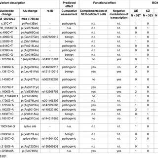 Mutations And Rare Variants In Ercc Identified Through Panel