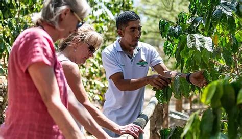 Diria Coffe Tour Guaitil Pottery Tamarindo Travel Costa Rica