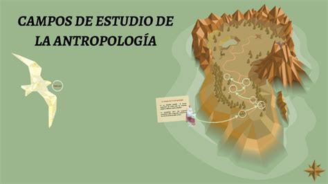 Campos De Estudio De La Antropolog A By Junior Aguirre On Prezi