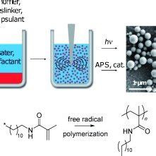 Schematic Representation Of Np Synthesis The Organic Monomer Solution