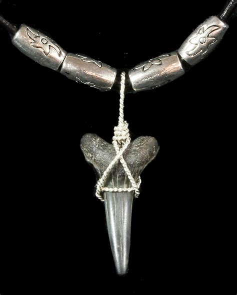 Fossil Sand Tiger Shark Tooth Necklace For Sale (#47595) - FossilEra.com