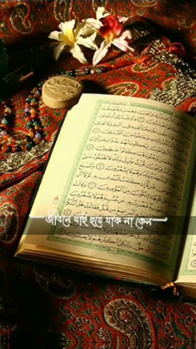 জীবনে যাইহোক না কেনো কখনো হতাশ হওয়া যাবে নাfrustrated Islamiclife