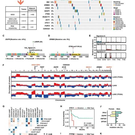 The Genomic Landscape Of Chinese Luas A Brief Description Of Chinese