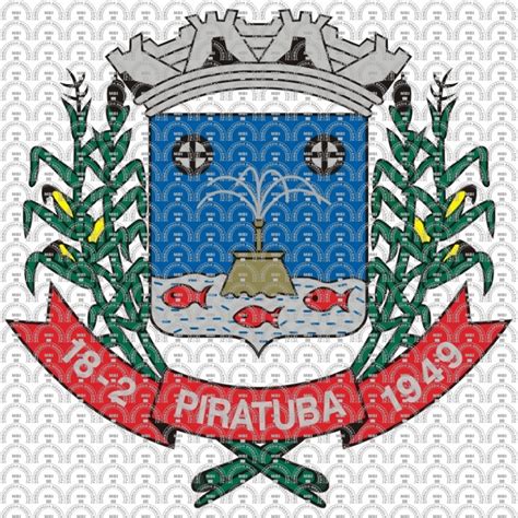 Bras O E Bandeira Da Cidade De Piratuba Sc Mbi Br