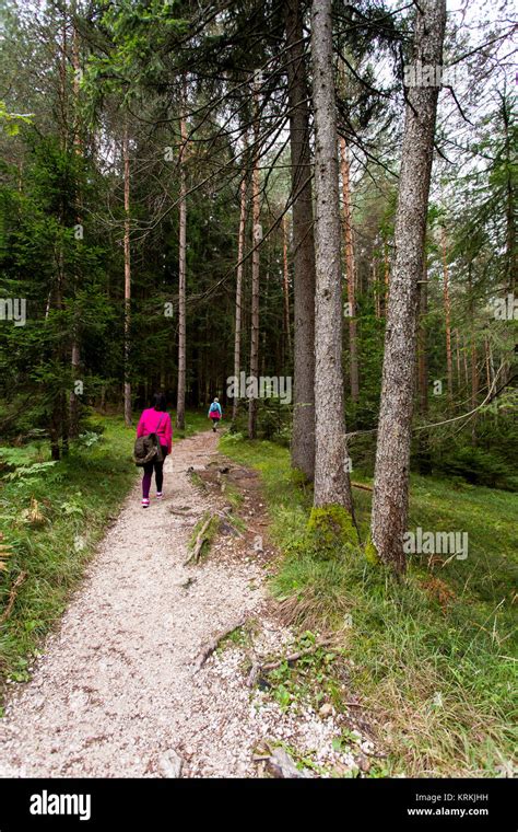 View a path in Seiser Alm with hikers Stock Photo - Alamy