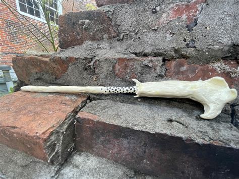 Lord Voldemorts Wand Etsy