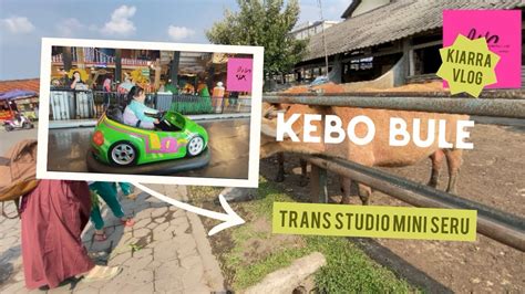 Serunya Maen Di Trans Studio Mini Dan Liat Kebo Bule Liburan