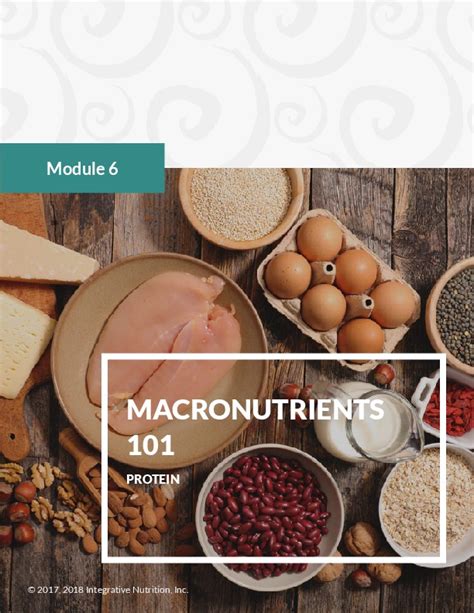 Macronutrients 101 Protein Iin Integrative Nutrition Macronutrients Nutrition