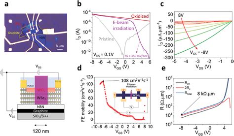 Graphite Back‐gated P⁺pp⁺ 2d Wse2 Fet A Optical Micrograph And