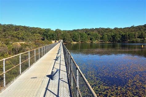 Manly Dam Circuit Walk | Sydney Uncovered