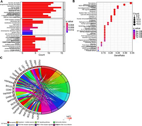 Frontiers A Novel Signature Of Necroptosis Associated Genes As A