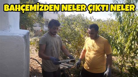 EMEKLERİMİZİN KARŞILIĞINI ALIYORUZ ŞEHİRDEN KÖYE GÖÇ ETTİK MUĞLAYA