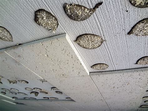 Asbestos Acoustic Ceiling Tiles