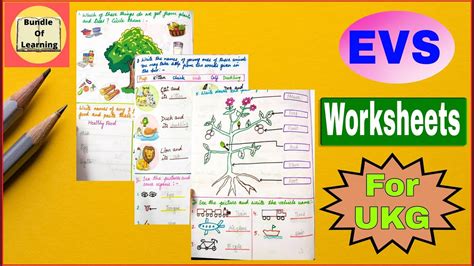 Evs Worksheet For Ukg Evs Worksheet Ukg Worksheets Ukg Evs