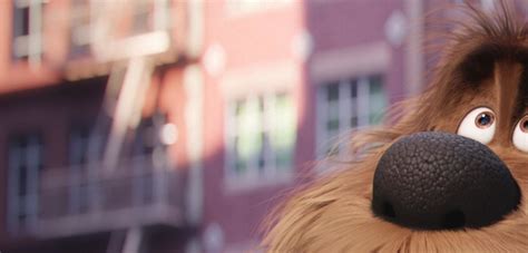 🔥 [30+] Secret Life Of Pets Desktop Wallpapers | WallpaperSafari
