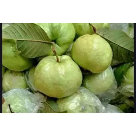 Jual Jambu Kristal Super Kg Shopee Indonesia